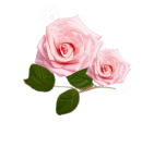 Decorative Element
